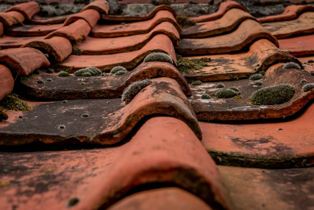 Gros plan sur des tuiles de terre cuite rouges et anciennes, recouvertes de mousse verte et de taches sombres, avec une faible profondeur de champ.